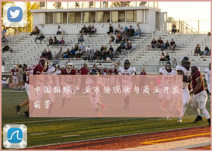 中国排球产业市场现状与商业开发前景