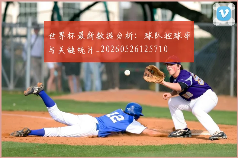 世界杯最新数据分析：球队控球率与关键统计_20260526125710